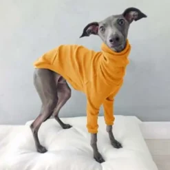 Dog Cat Shirt / T-Shirt Fashion Cute Breathable Soft Washable Comfortable Outdoor Casual Daily Dog Clothing for Bichon Frise Pomeranian Baby Pet Papillon Small