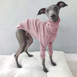 Dog Cat Shirt / T-Shirt Fashion Cute Breathable Soft Washable Comfortable Outdoor Casual Daily Dog Clothing for Bichon Frise Pomeranian Baby Pet Papillon Small