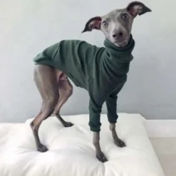 Dog Cat Shirt / T-Shirt Fashion Cute Breathable Soft Washable Comfortable Outdoor Casual Daily Dog Clothing for Bichon Frise Pomeranian Baby Pet Papillon Small