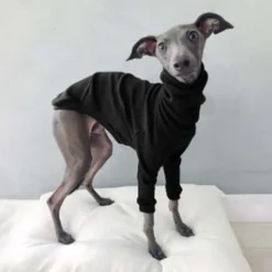 Dog Cat Shirt / T-Shirt Fashion Cute Breathable Soft Washable Comfortable Outdoor Casual Daily Dog Clothing for Bichon Frise Pomeranian Baby Pet Papillon Small