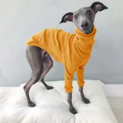 Dog Cat Shirt / T-Shirt Fashion Cute Breathable Soft Washable Comfortable Outdoor Casual Daily Dog Clothing for Bichon Frise Pomeranian Baby Pet Papillon Small