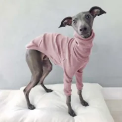 Dog Cat Shirt / T-Shirt Fashion Cute Breathable Soft Washable Comfortable Outdoor Casual Daily Dog Clothing for Bichon Frise Pomeranian Baby Pet Papillon Small