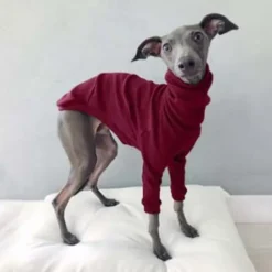 Dog Cat Shirt / T-Shirt Fashion Cute Breathable Soft Washable Comfortable Outdoor Casual Daily Dog Clothing for Bichon Frise Pomeranian Baby Pet Papillon Small