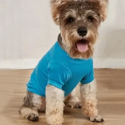 Dog Cat Shirt / T-Shirt Fashion Casual Breathable Soft Washable Comfortable Outdoor Casual Daily Dog Clothing for Bichon Frise Pomeranian Baby Pet Papillon Small