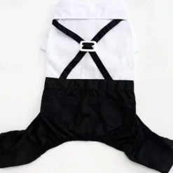 Dog Cat Suit Fashion Party Winter Breathable Soft Washable Comfortable Outdoor Casual Daily Dog Clothing for Bichon Frise Pomeranian Baby Pet Papillon Small