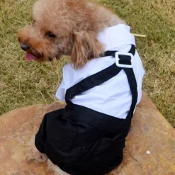 Dog Cat Suit Fashion Party Winter Breathable Soft Washable Comfortable Outdoor Casual Daily Dog Clothing for Bichon Frise Pomeranian Baby Pet Papillon Small