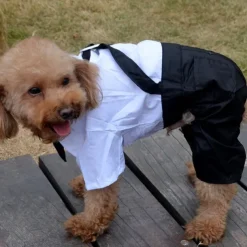 Dog Cat Suit Fashion Party Winter Breathable Soft Washable Comfortable Outdoor Casual Daily Dog Clothing for Bichon Frise Pomeranian Baby Pet Papillon Small