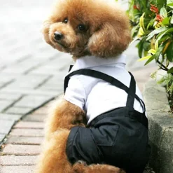 Dog Cat Suit Fashion Party Winter Breathable Soft Washable Comfortable Outdoor Casual Daily Dog Clothing for Bichon Frise Pomeranian Baby Pet Papillon Small