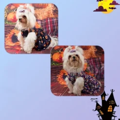 Dog Cat Sweatshirt Dress Dog Bandana Party Funny Winter Breathable Soft Washable Comfortable Outdoor Halloween Casual Daily Dog Clothing for Bichon Frise Pomeranian Baby Pet Papillon Small