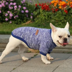 Dog Cat Sweatshirt Jumpsuit Leisure Casual / Sporty Warm Soft Washable Fashion Comfortable New Year Thanksgiving International Beer Festival Outdoor Vacation New Year Dailywear Sports Outdoor Dog