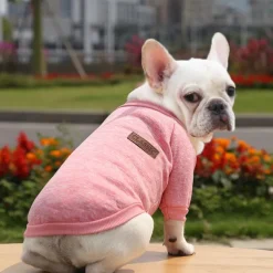Dog Cat Sweatshirt Jumpsuit Leisure Casual / Sporty Warm Soft Washable Fashion Comfortable New Year Thanksgiving International Beer Festival Outdoor Vacation New Year Dailywear Sports Outdoor Dog
