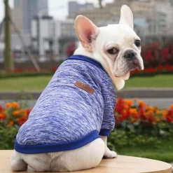 Dog Cat Sweatshirt Jumpsuit Leisure Casual / Sporty Warm Soft Washable Fashion Comfortable New Year Thanksgiving International Beer Festival Outdoor Vacation New Year Dailywear Sports Outdoor Dog