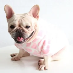 Dog Cat Sweatshirt Pajamas Fashion Cute Winter Warm Soft Washable Comfortable Outdoor Indoor Casual Daily Dog Clothing for Bichon Frise Poodle Pomeranian Baby Pet Papillon