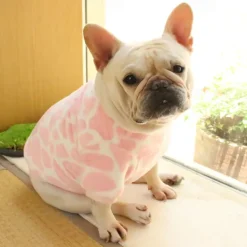 Dog Cat Sweatshirt Pajamas Fashion Cute Winter Warm Soft Washable Comfortable Outdoor Indoor Casual Daily Dog Clothing for Bichon Frise Poodle Pomeranian Baby Pet Papillon