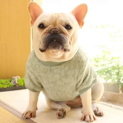 Dog Cat Sweatshirt Pajamas Fashion Cute Winter Warm Soft Washable Comfortable Outdoor Indoor Casual Daily Dog Clothing for Bichon Frise Poodle Pomeranian Baby Pet Papillon