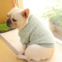 Dog Cat Sweatshirt Pajamas Fashion Cute Winter Warm Soft Washable Comfortable Outdoor Indoor Casual Daily Dog Clothing for Bichon Frise Poodle Pomeranian Baby Pet Papillon