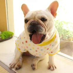 Dog Cat Sweatshirt Pajamas Fashion Cute Winter Warm Soft Washable Comfortable Outdoor Indoor Casual Daily Dog Clothing for Bichon Frise Poodle Pomeranian Baby Pet Papillon