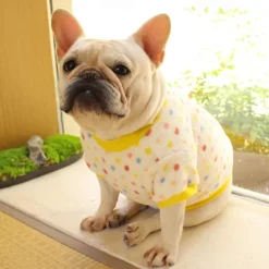 Dog Cat Sweatshirt Pajamas Fashion Cute Winter Warm Soft Washable Comfortable Outdoor Indoor Casual Daily Dog Clothing for Bichon Frise Poodle Pomeranian Baby Pet Papillon