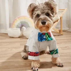 Dog Cat T-shirts Fashion Casual Winter Breathable Soft Washable Comfortable Outdoor Casual Daily Dog Clothing for Bichon Frise Pomeranian Baby Pet Papillon Small