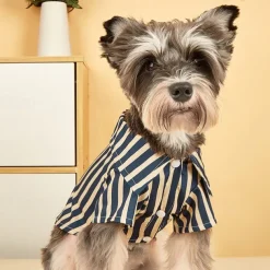 Dog Cat T-shirts Fashion Comfortable Outdoor Dailywear Homewear Dog Clothing for Small Medium