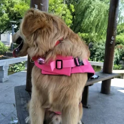 Dog Dog Life Jacket Adjustable Safety Dog Clothing
