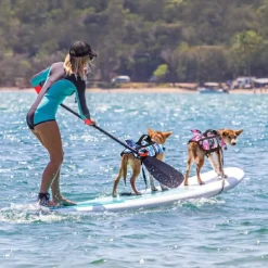 Dog Dog Life Jacket Adjustable Safety Dog Clothing