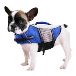 Dog Dog Life Jacket Reflective Sports & Outdoors Safety Beach Pool Dog Clothing for Husky Golden Retriever Bichon Frise Pomeranian Small