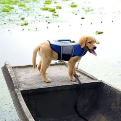 Dog Dog Life Jacket Reflective Sports & Outdoors Safety Beach Pool Dog Clothing for Husky Golden Retriever Bichon Frise Pomeranian Small