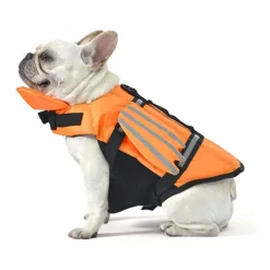 Dog Dog Life Jacket Sports & Outdoors Safety Beach Pool Dog Clothing for Husky Golden Retriever Medium Large