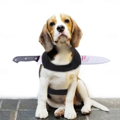 Dog Halloween Costumes Costume Halloween Outfit Scary Costume Soft Halloween Carnival Party Dog Clothing for Small Medium
