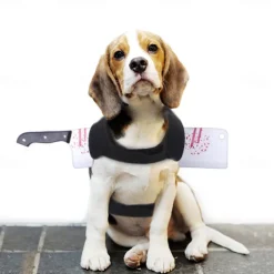 Dog Halloween Costumes Costume Halloween Outfit Scary Costume Soft Halloween Carnival Party Dog Clothing for Small Medium
