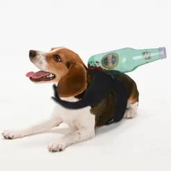 Dog Halloween Costumes Costume Halloween Outfit Scary Costume Soft Halloween Carnival Party Dog Clothing for Small Medium
