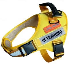 Dog Harness Reflective No Choke No Pull with Control Handle Outdoor Medium Dog Large Dog