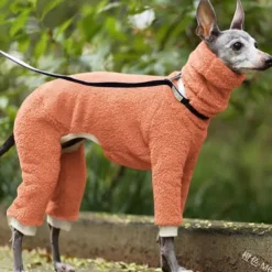 Dog Jumpsuit Fashion Stylish Ordinary Classic Style Retro Vintage Fall Winter Warm Fashion Sports Outdoor Dog Clothing for Greyhound