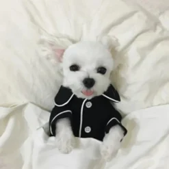 Dog Pajamas Puppy Clothes Casual Daily Winter Dog Clothing
