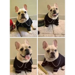 Dog Pajamas Puppy Clothes Casual Daily Winter Dog Clothing