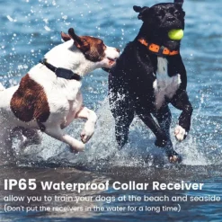 Dog Training Collar Waterproof Rechargeable 2600ft Remote Dog Shock Collar with LED Light Beep Vibration Shock for Medium/Large Breed 2 Electronic Collars Neck Lanyard