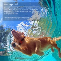 Dog Training Shock Collar Remote Controlled Adjustable New Design Dog Pets Electronic Behaviour Aids For Pets