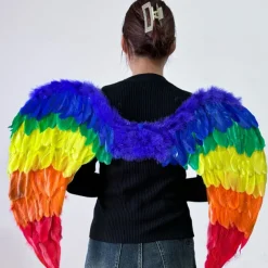 Drag Queen Pride Rainbow Feather Wings Rainbow Angel Wings Adults' Unisex Casual Pride Parade Pride Month Halloween Easy Carnival Costume