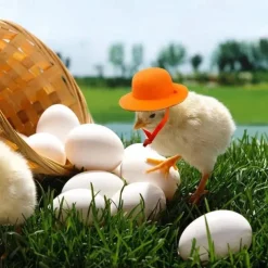 Durable Polyester Fiber Fun Chicken Hat with Drawstring Closure for Poultry Protection, Suitable for Various Chicken Breeds