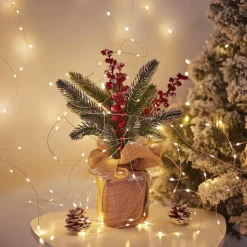 Elegant Wedding Party Reception 20M 200LED Copper Wire Fairy Lights – USB Plug 8 Modes Remote Control Waterproof for Home Garden Patio Decor