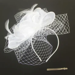 Fascinators Kentucky Derby Hat Organza Polyester / Polyamide Fedora Hat Floppy Hat Veil Hat Tea Party Horse Race Ladies Day Vintage Vintage Style Elegant With Feather Appliques