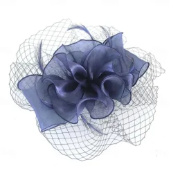 Fascinators Kentucky Derby Hat Organza Polyester / Polyamide Fedora Hat Floppy Hat Veil Hat Tea Party Horse Race Ladies Day Vintage Vintage Style Elegant With Feather Appliques