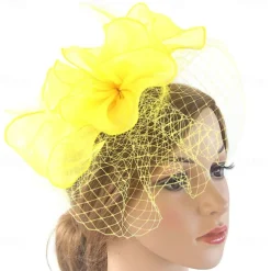 Fascinators Kentucky Derby Hat Organza Polyester / Polyamide Fedora Hat Floppy Hat Veil Hat Tea Party Horse Race Ladies Day Vintage Vintage Style Elegant With Feather Appliques