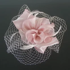 Fascinators Kentucky Derby Hat Organza Polyester / Polyamide Fedora Hat Floppy Hat Veil Hat Tea Party Horse Race Ladies Day Vintage Vintage Style Elegant With Feather Appliques