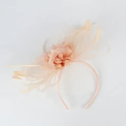Fascinators Tulle Kentucky Derby Horse Race Cocktail Royal Astcot Retro Elegant With Feather Headpiece Headwear