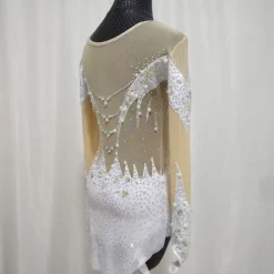 Figure Skating Costume Artistic Gymnastics Performance Costume Children's Adult Training Costume Girls' Rhythmic Gymnastics Skating Skirt Sports Skirt