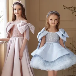 Flower Girl Dress Girls' Evening Gown Formal Dress Princess Dress Wedding Attire Wedding Party Princess Sweet Christmas Carnival Ruched Solid Color Strapless Crew Neck Light Pink Sky Blue 4 years+