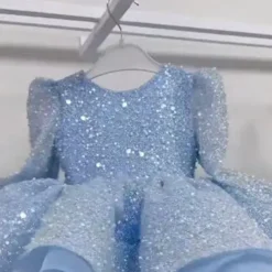 Flower Girl Dress Girls' Party Dress Performance Wedding Party Princess Sweet Mesh Solid Color Long Sleeve Off Shoulder Pink Sky Blue 2-12 Years