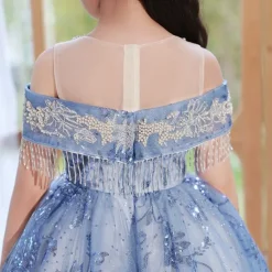 Flower Girl Dress Kid's Girls' Princess Dress Performance Wedding Party Elegant Beautiful Sequins Mesh Solid Color Sleeveless Crew Neck Champagne Blue 4 years+